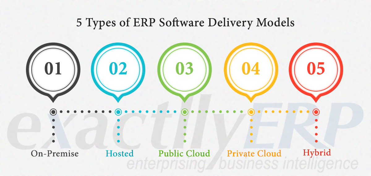 5 Types of ERP Software Delivery Models