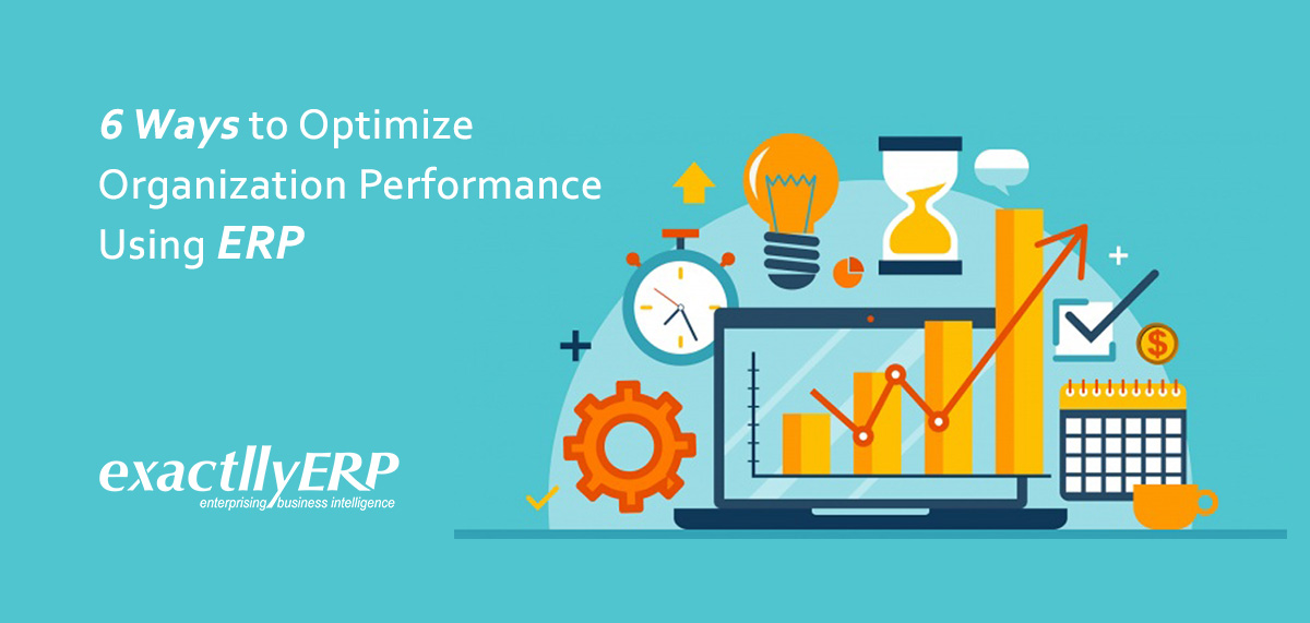 6 Ways to Optimize Organization Performance Using ERP