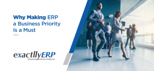 Making ERP a Business Priority a Must | ERP Software